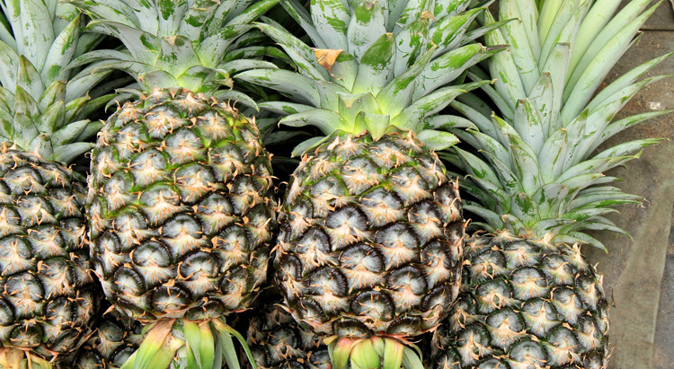 Можно ли есть ананас при сахарном диабете 2 типа?